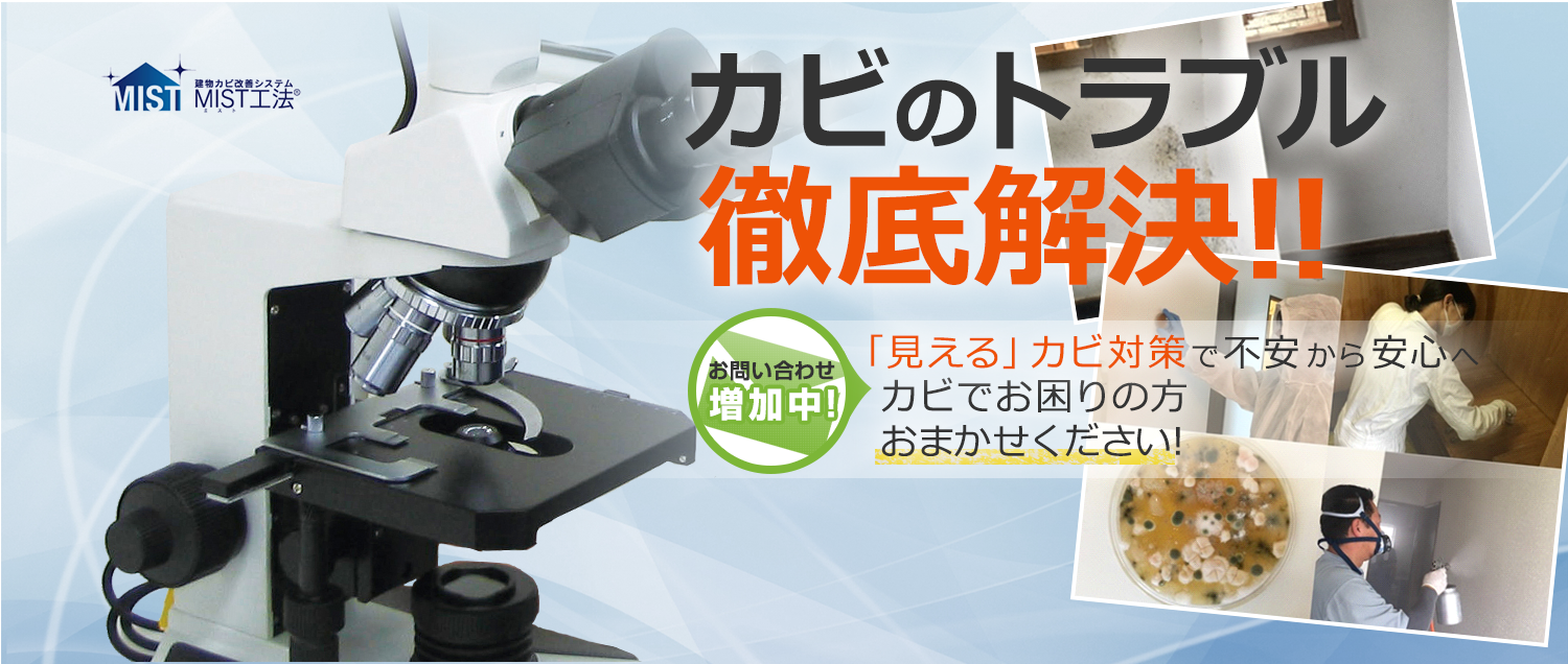 抗菌・抗カビ剤の検査・評価法と製品設計 語学・辞書・学習参考書